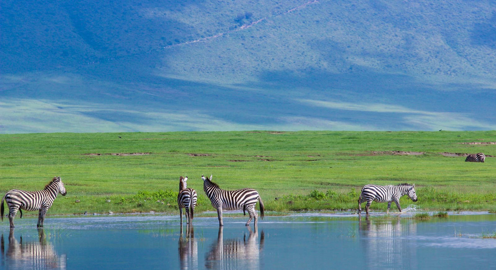 tanzania safari