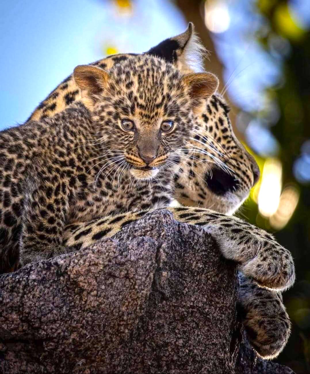 Tanzania travel agent