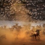 Serengeti Great Migration