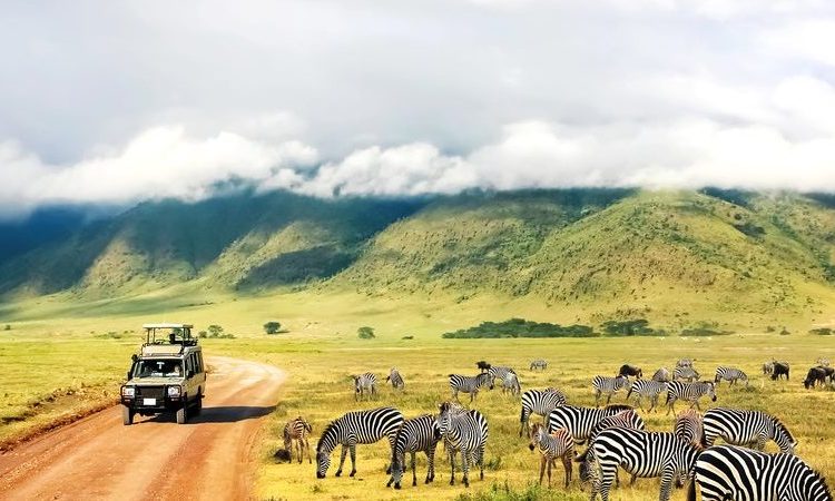 game drive