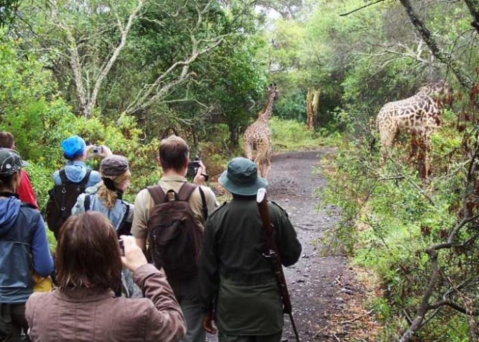 Guided Game Walk - arusha national park