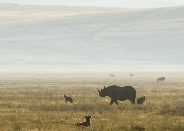 crater ngorongoro