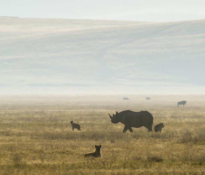 crater ngorongoro