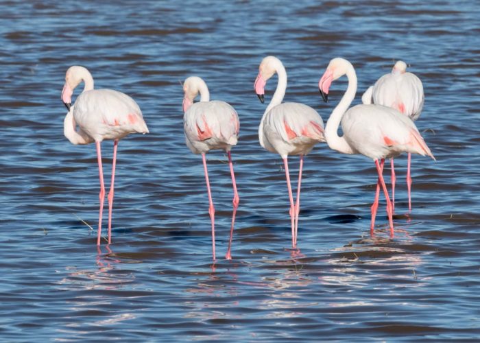 lake manyara national park