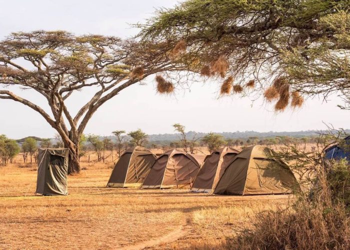 tanzania camping safari