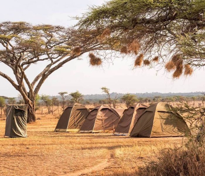 3 days tanzania Camping Safari