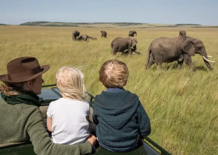 tanzania family safaris