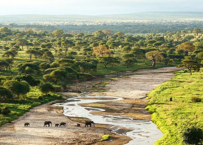 tarangire river